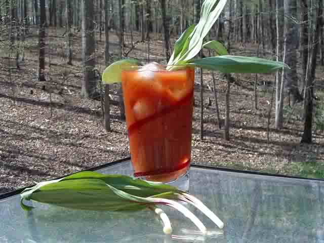 Bloody Stinkin' Mary